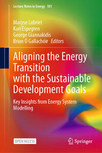 Aligning the Energy Transition with the Sustainable Development Goals