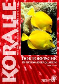 Doktorfische im Meerwasseraquarium