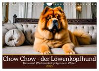 Chow Chow - der Löwenkopfhund (Wandkalender 2025 DIN A4 quer), CALVENDO Monatskalender