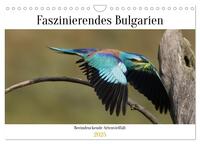 Faszinierendes Bulgarien (Wandkalender 2025 DIN A4 quer), CALVENDO Monatskalender