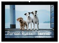 Parson Russell Terrier (Wandkalender 2025 DIN A2 quer), CALVENDO Monatskalender