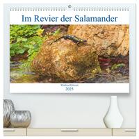 Im Revier der Salamander (hochwertiger Premium Wandkalender 2025 DIN A2 quer), Kunstdruck in Hochglanz