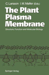 The Plant Plasma Membrane