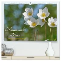 Naturwunder Blüten (hochwertiger Premium Wandkalender 2025 DIN A2 quer), Kunstdruck in Hochglanz