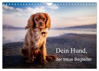 Dein Hund der treue Begleiter (Wandkalender 2025 DIN A4 quer), CALVENDO Monatskalender