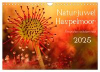 Naturjuwel Haspelmoor (Wandkalender 2025 DIN A4 quer), CALVENDO Monatskalender