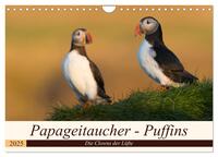 Papageitaucher - Puffins (Wandkalender 2025 DIN A4 quer), CALVENDO Monatskalender