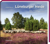 Lüneburger Heide