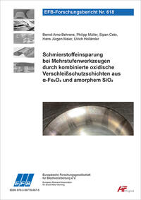 Schmierstoffeinsparung bei Mehrstufenwerkzeugen durch kombinierte oxidische Verschleißschutzschichten aus a-Fe2O3 und amorphem SiO2