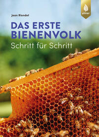 Das erste Bienenvolk – Schritt für Schritt