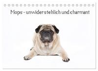 Mops - unwiderstehlich und charmant (Tischkalender 2025 DIN A5 quer), CALVENDO Monatskalender