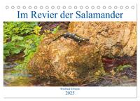 Im Revier der Salamander (Tischkalender 2025 DIN A5 quer), CALVENDO Monatskalender