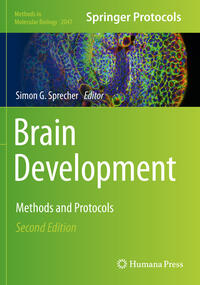 Brain Development