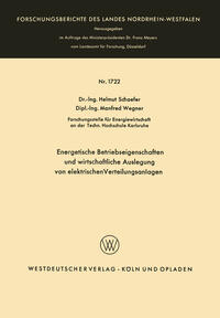 Energetische Betriebseigenschaften und wirtschaftliche Auslegung von elektrischen Verteilungsanlagen