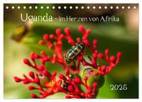 Uganda - im Herzen von Afrika (Tischkalender 2025 DIN A5 quer), CALVENDO Monatskalender