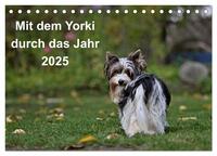 Mit dem Yorki durch das Jahr 2025 (Tischkalender 2025 DIN A5 quer), CALVENDO Monatskalender