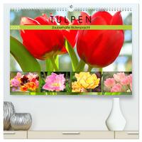 Tulpen. Zauberhafte Blütenpracht (hochwertiger Premium Wandkalender 2025 DIN A2 quer), Kunstdruck in Hochglanz