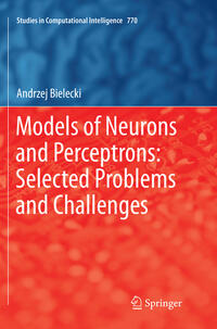 Models of Neurons and Perceptrons: Selected Problems and Challenges