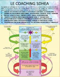 Cours de coaching thérapeutique SDHEA