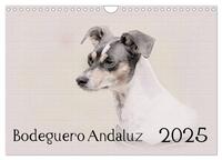 Bodeguero Andaluz 2025 (Wandkalender 2025 DIN A4 quer), CALVENDO Monatskalender