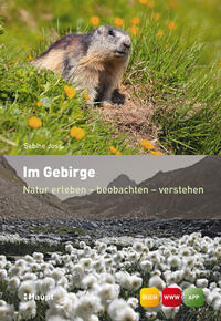 Im Gebirge