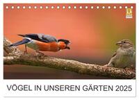 Vögel in unseren Gärten 2025 (Tischkalender 2025 DIN A5 quer), CALVENDO Monatskalender