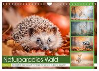 Naturparadies Wald (Wandkalender 2025 DIN A4 quer), CALVENDO Monatskalender