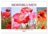 Mohnblumen. Leuchtender Liebreiz auf Wiesen und in Gärten (Wandkalender 2025 DIN A2 quer), CALVENDO Monatskalender