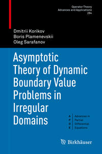 Asymptotic Theory of Dynamic Boundary Value Problems in Irregular Domains