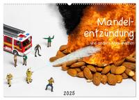 Mandelentzündung ... und andere Mini-Welten (Wandkalender 2025 DIN A2 quer), CALVENDO Monatskalender