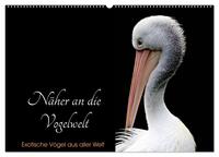 Näher an die Vogelwelt - Exotische Vögel aus aller Welt (Wandkalender 2025 DIN A2 quer), CALVENDO Monatskalender