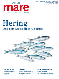 mare - Die Zeitschrift der Meere / No. 135 / Hering