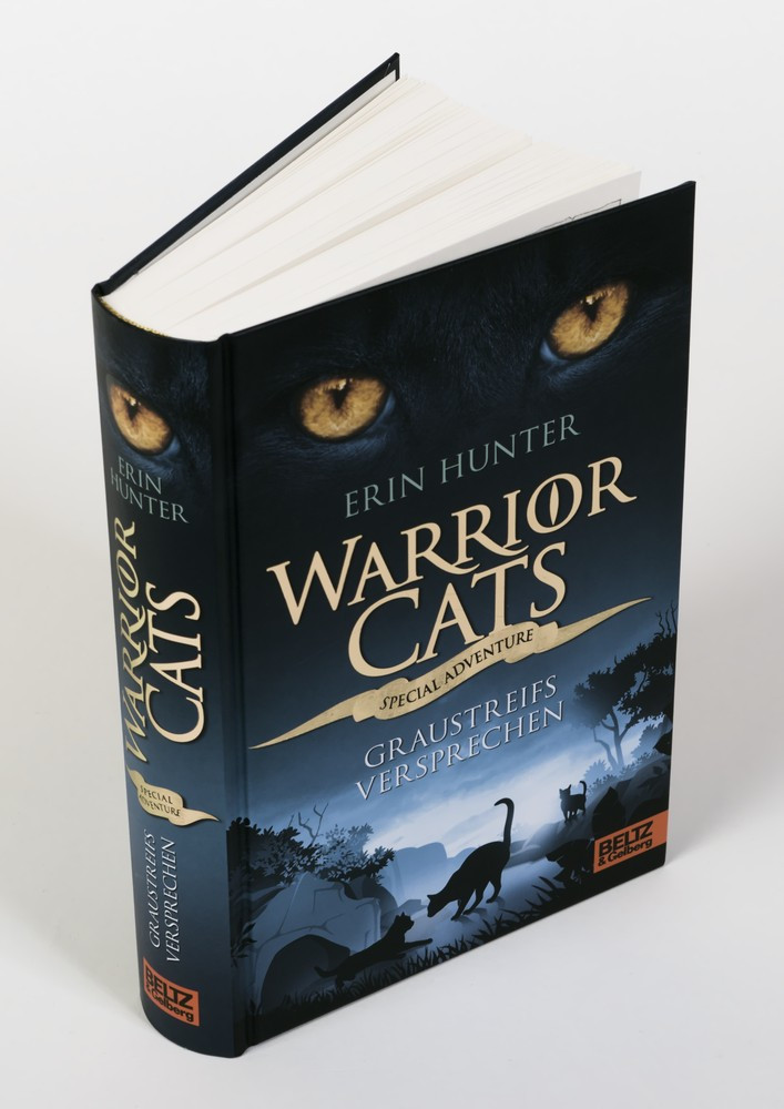 Warrior Cats - Special Adventure. Graustreifs Versprechen