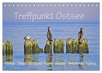 Treffpunkt Ostsee (Tischkalender 2025 DIN A5 quer), CALVENDO Monatskalender