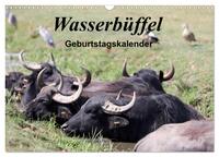 Wasserbüffel - Geburtstagskalender (Wandkalender 2025 DIN A3 quer), CALVENDO Monatskalender