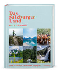 Das Salzburger Land