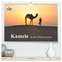 Kamele in der Wüstensonne (hochwertiger Premium Wandkalender 2025 DIN A2 quer), Kunstdruck in Hochglanz