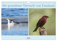 Die grandiose Tierwelt von Finnland (Wandkalender 2025 DIN A4 quer), CALVENDO Monatskalender