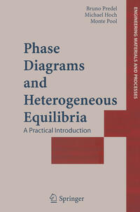 Phase Diagrams and Heterogeneous Equilibria