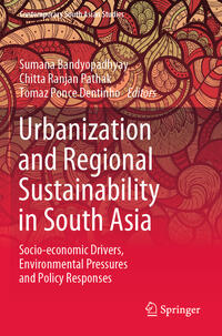 Urbanization and Regional Sustainability in South Asia