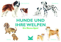 Hunde und ihre Welpen.