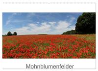 Mohnblumenfelder (Wandkalender 2025 DIN A2 quer), CALVENDO Monatskalender