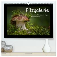 Pilzgalerie - Heimische Pilze aus der Region Rheinland-Pfalz (hochwertiger Premium Wandkalender 2025 DIN A2 quer), Kunstdruck in Hochglanz