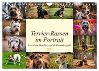 Terrier-Rassen im Portrait (Wandkalender 2025 DIN A4 quer), CALVENDO Monatskalender