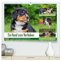 Ein Hund zum Verlieben - Großer Schweizer Sennenhund (hochwertiger Premium Wandkalender 2025 DIN A2 quer), Kunstdruck in Hochglanz