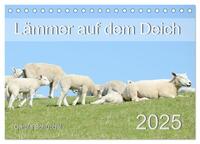 Lämmer auf dem Deich (Tischkalender 2025 DIN A5 quer), CALVENDO Monatskalender