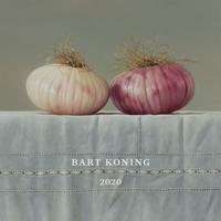 Bart Koning