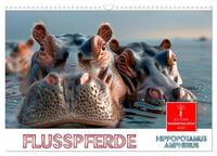 Flusspferde - Hippopotamus amphibius (Wandkalender 2025 DIN A3 quer), CALVENDO Monatskalender