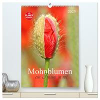 Mohnblumen-ein Traum in rot (hochwertiger Premium Wandkalender 2025 DIN A2 hoch), Kunstdruck in Hochglanz