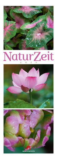 NaturZeit Triplet-Kalender 2026